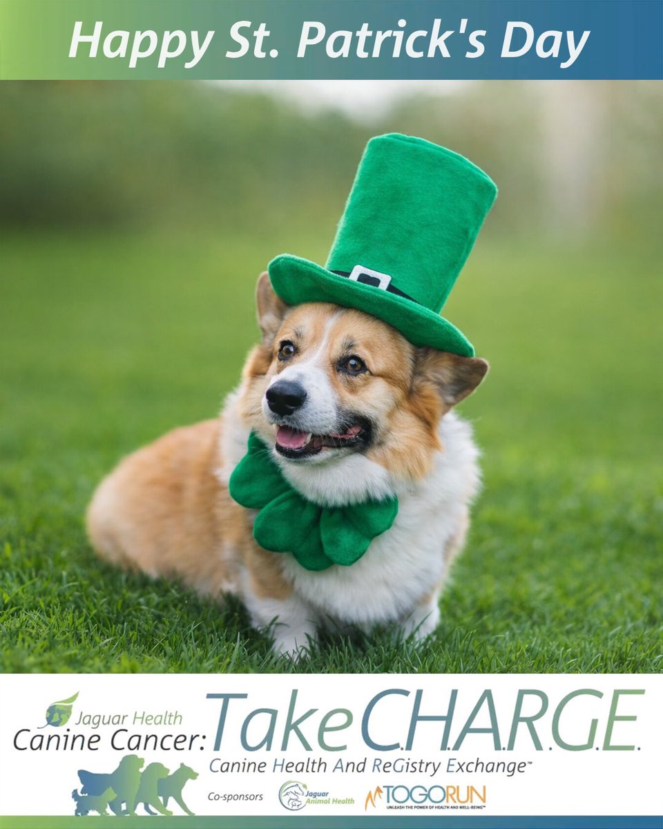 Take C.H.A.R.G.E. tweet media