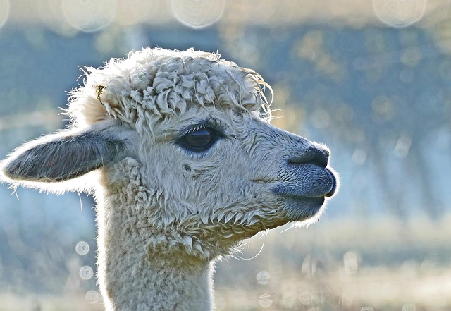 Mike Schmidt tweet media