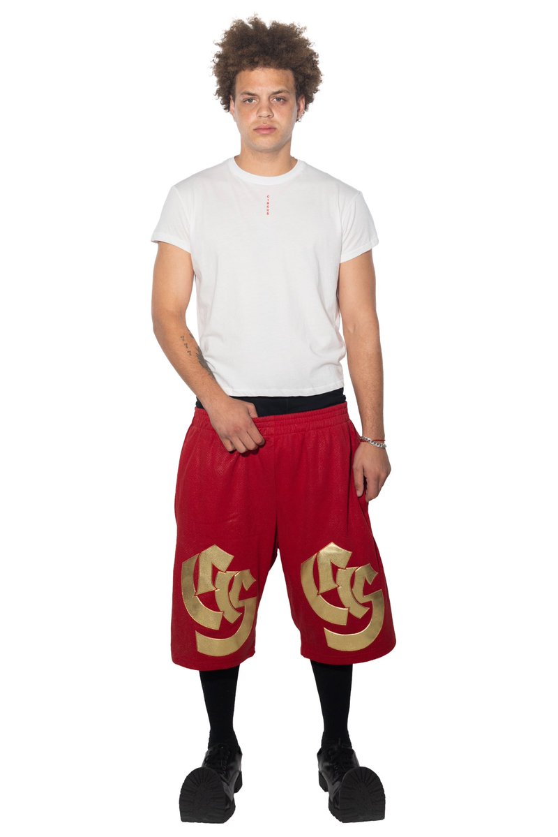 DIGITAL NAS V2 tweet media