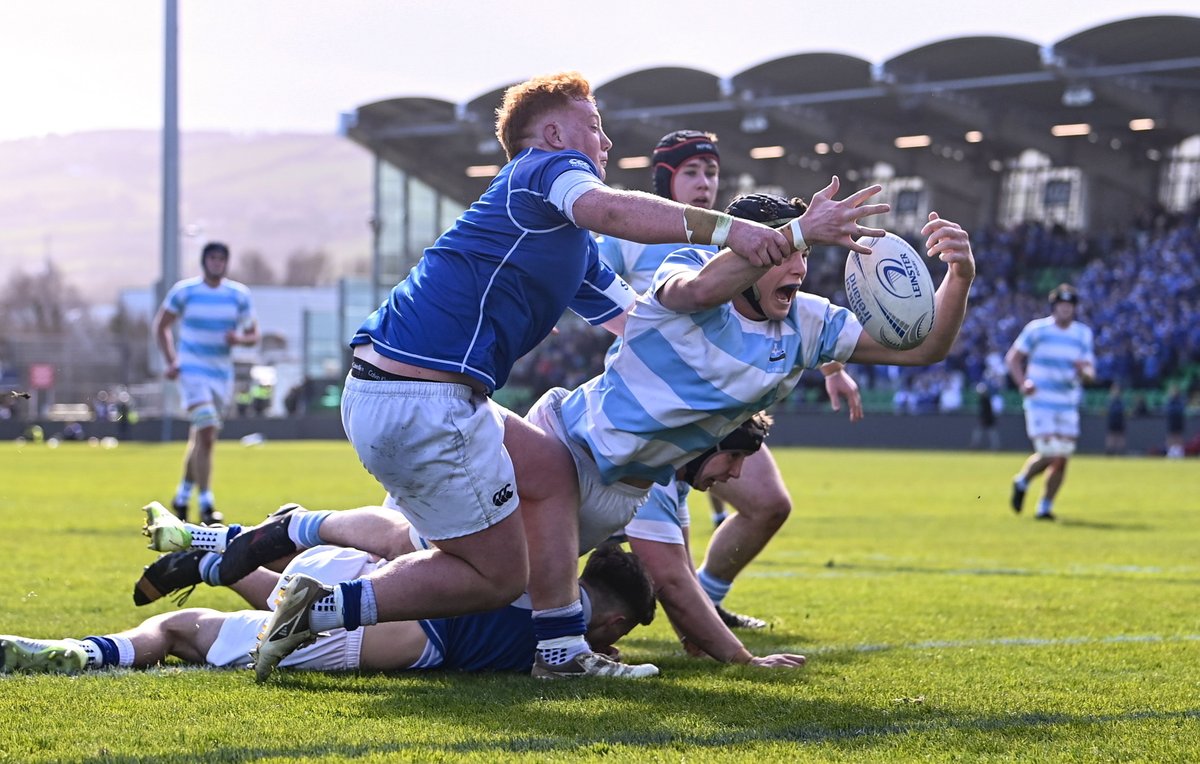 Leinster Domestic tweet media