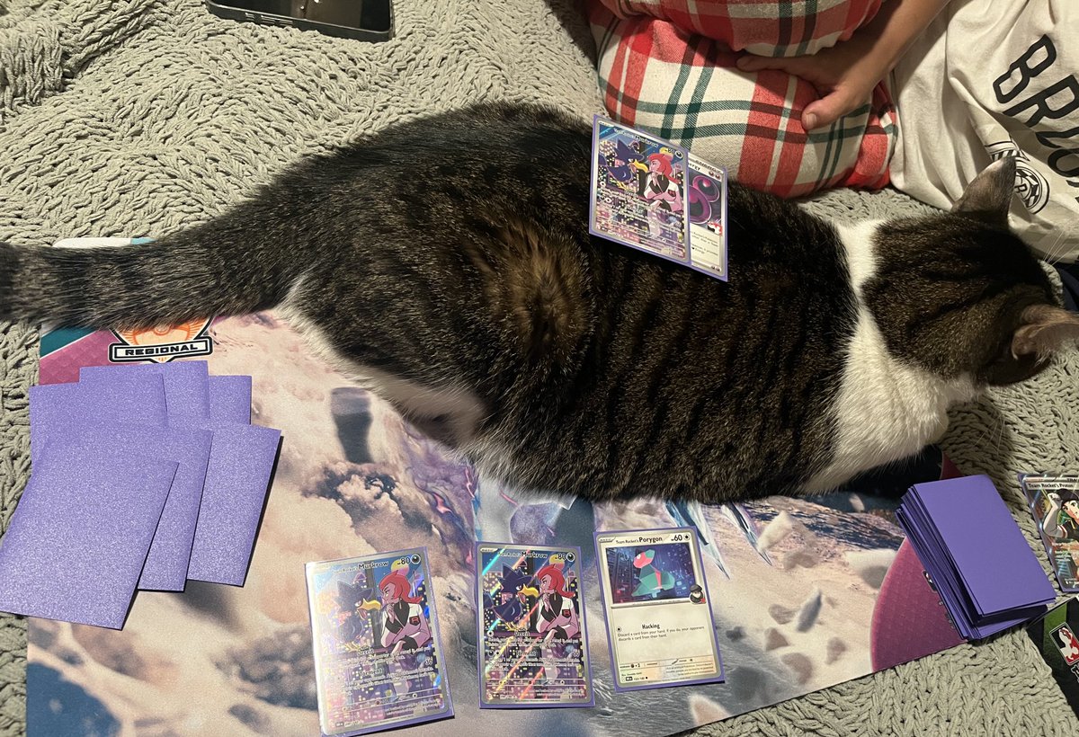 Koopa 🐢 tweet media