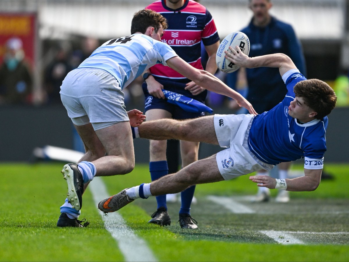 Leinster Domestic tweet media