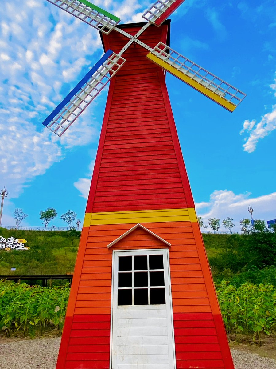 louos napolitano tweet media