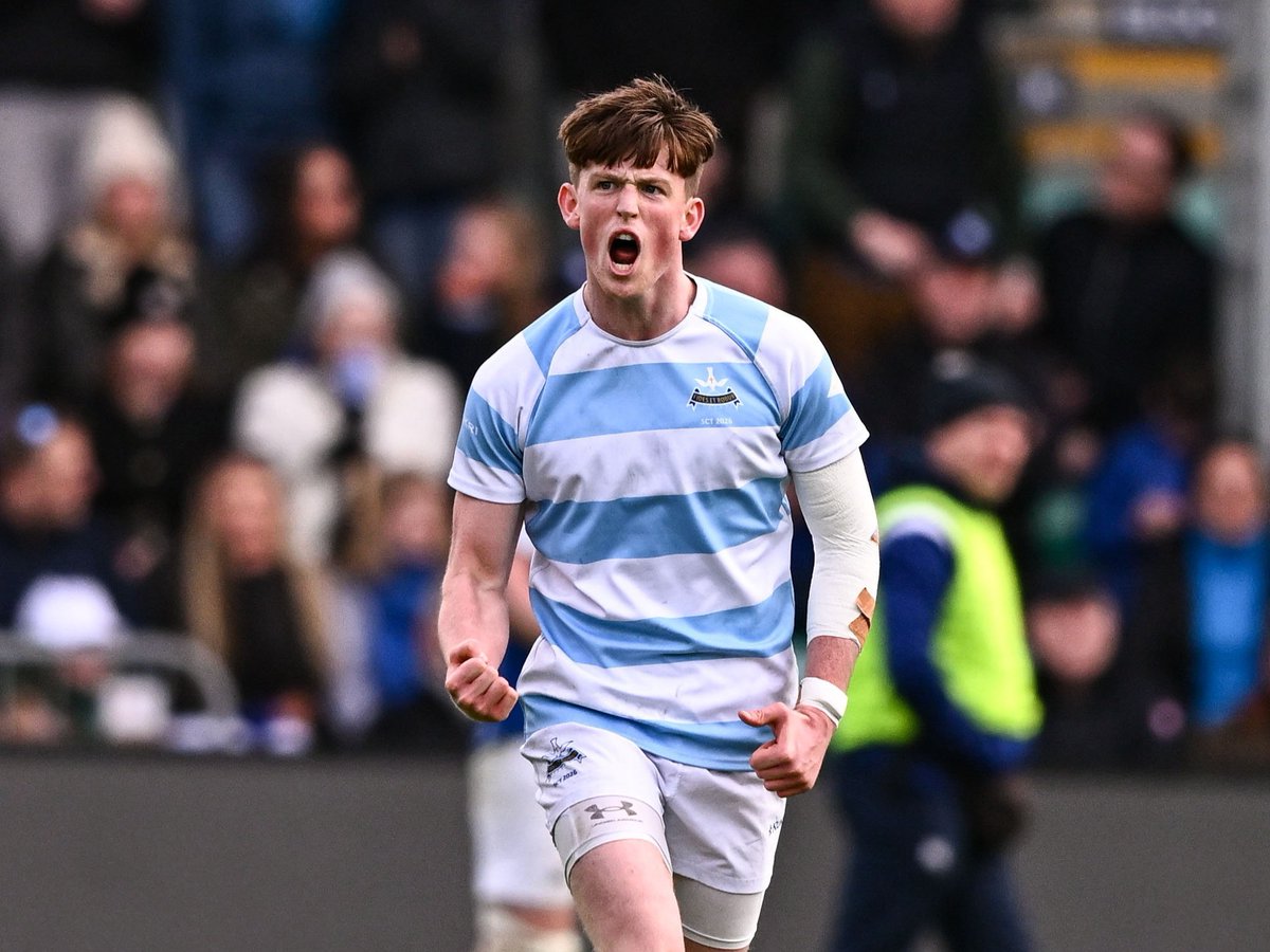 Leinster Domestic tweet media