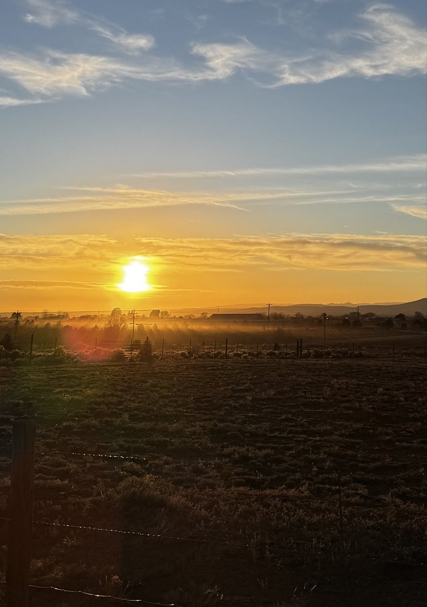 Howling Giant tweet media