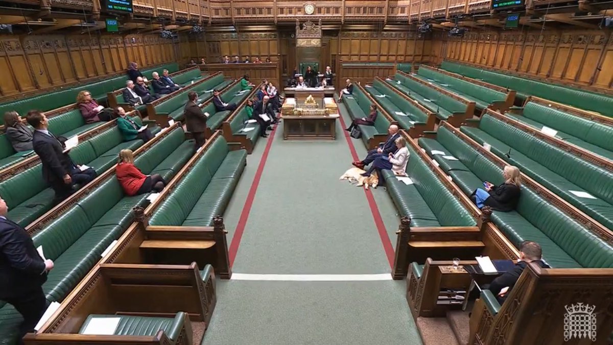 patrick_hurley's tweet image. The Commons has just had a session on youth unemployment, the importance of getting young people into work, and what this government is doing to help.

Take a look at how many Tories are in the Chamber to listen and learn. 😡