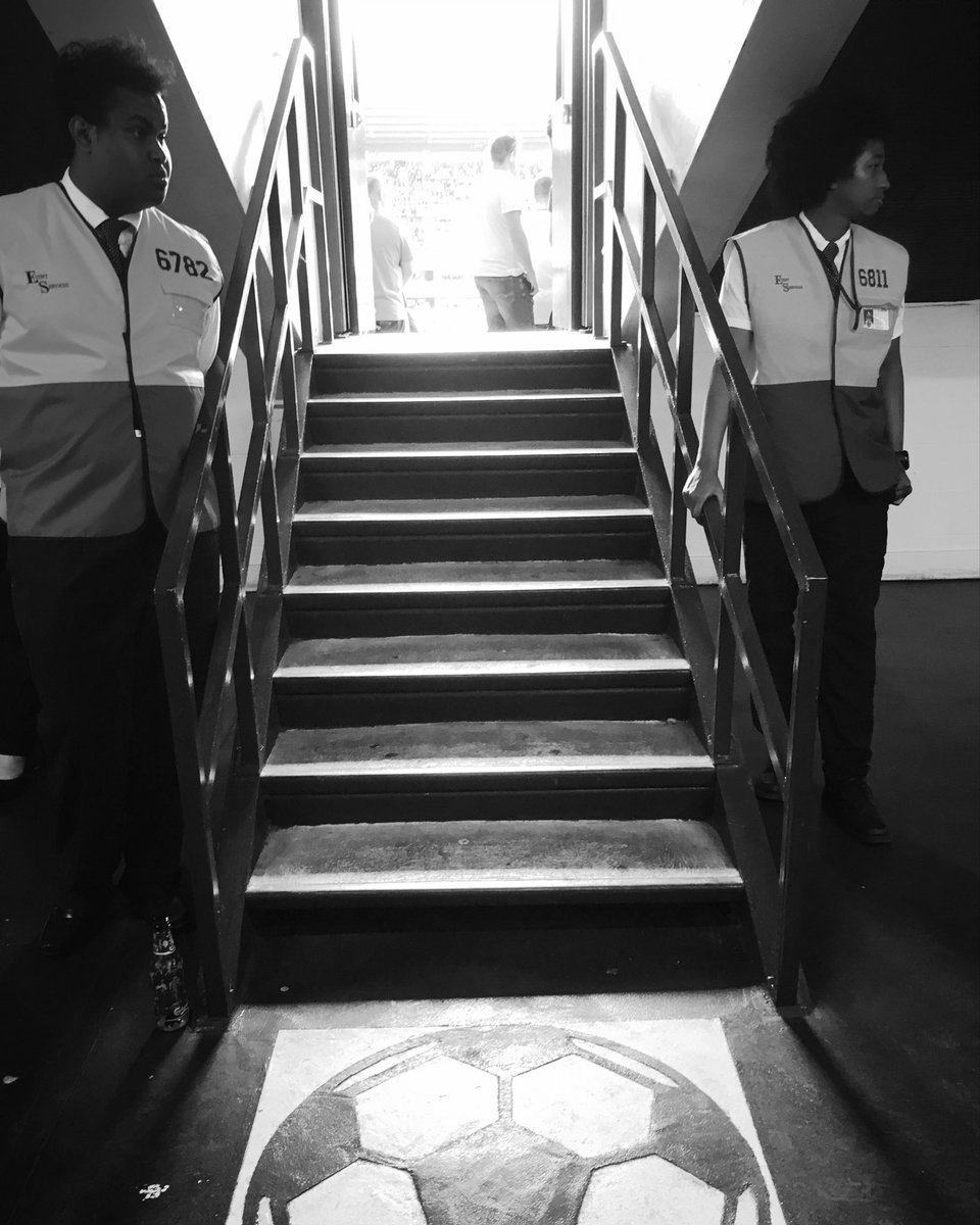 Return of the Shelf tweet media