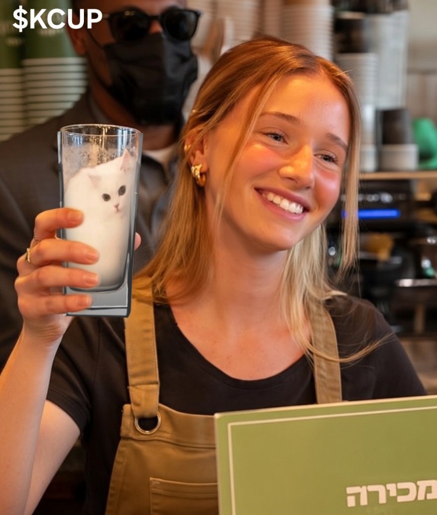 Kitty Cup $KCUP tweet media