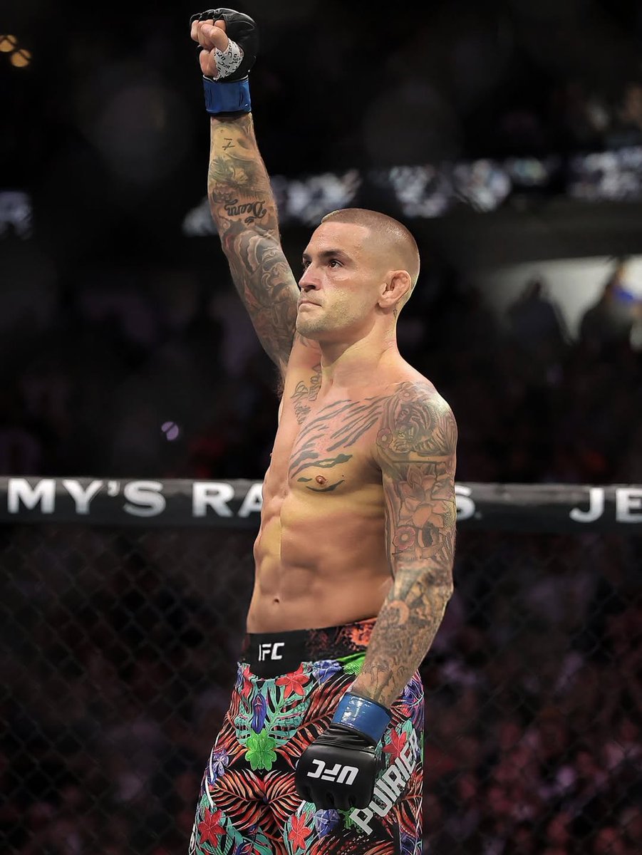 هتّان tweet media