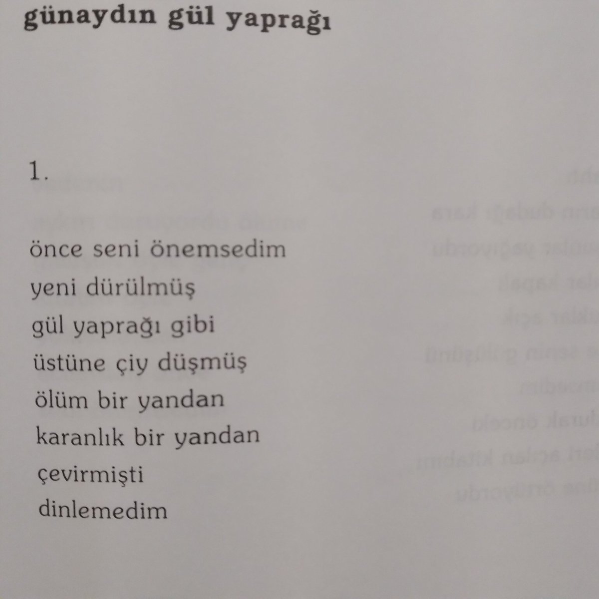 Bitap Kitap tweet media