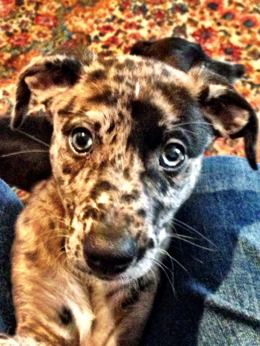 Gary Holman tweet media