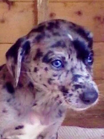 Gary Holman tweet media