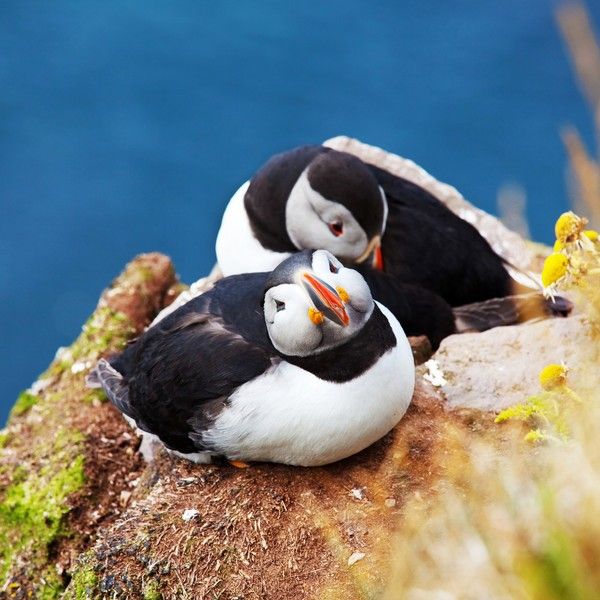 Derek Paterson tweet media