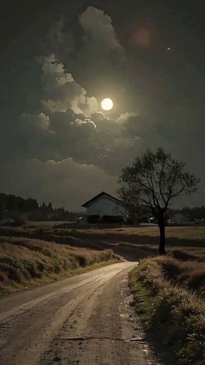HombreEpilogado's tweet photo. Te espero cuando miremos al cielo de noche: tú allá, yo aquí.

✒️Mario Benedetti
📷web https://t.co/InCPb4ptfH