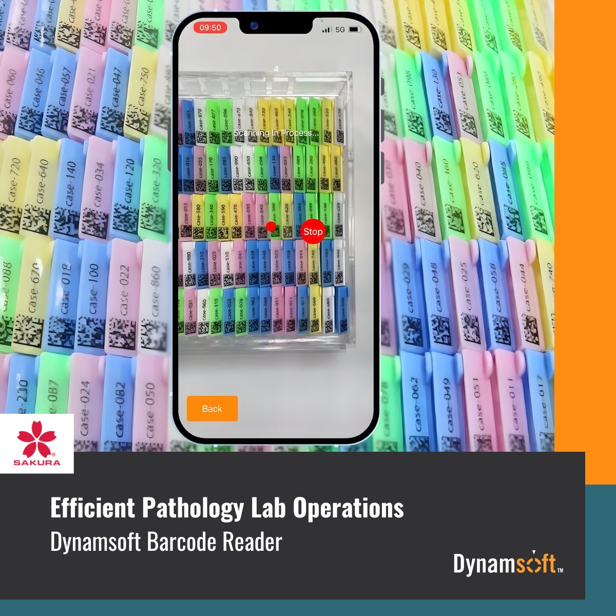 Dynamsoft tweet media