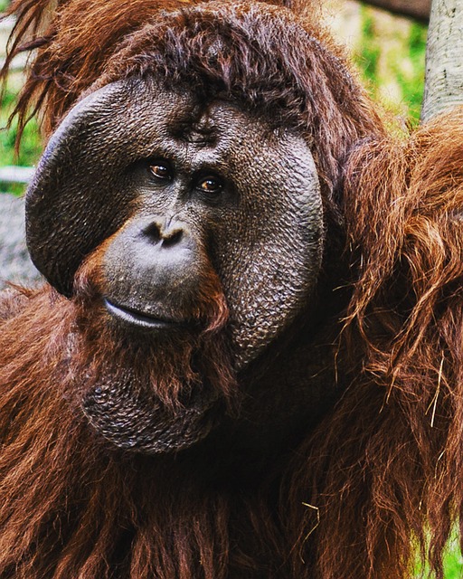 Ruth Skiles tweet media