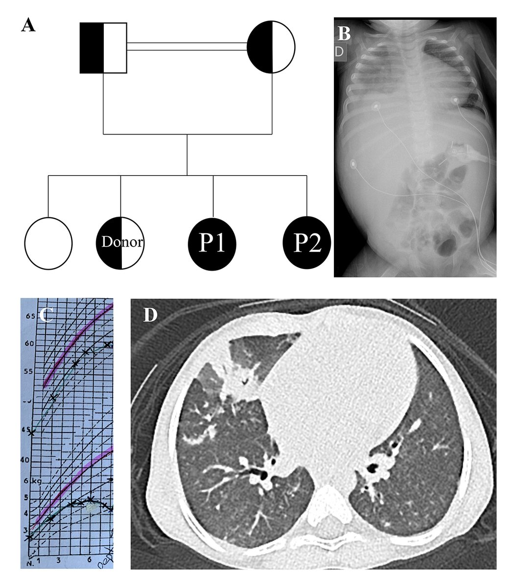 Journal of Human Immunity tweet media