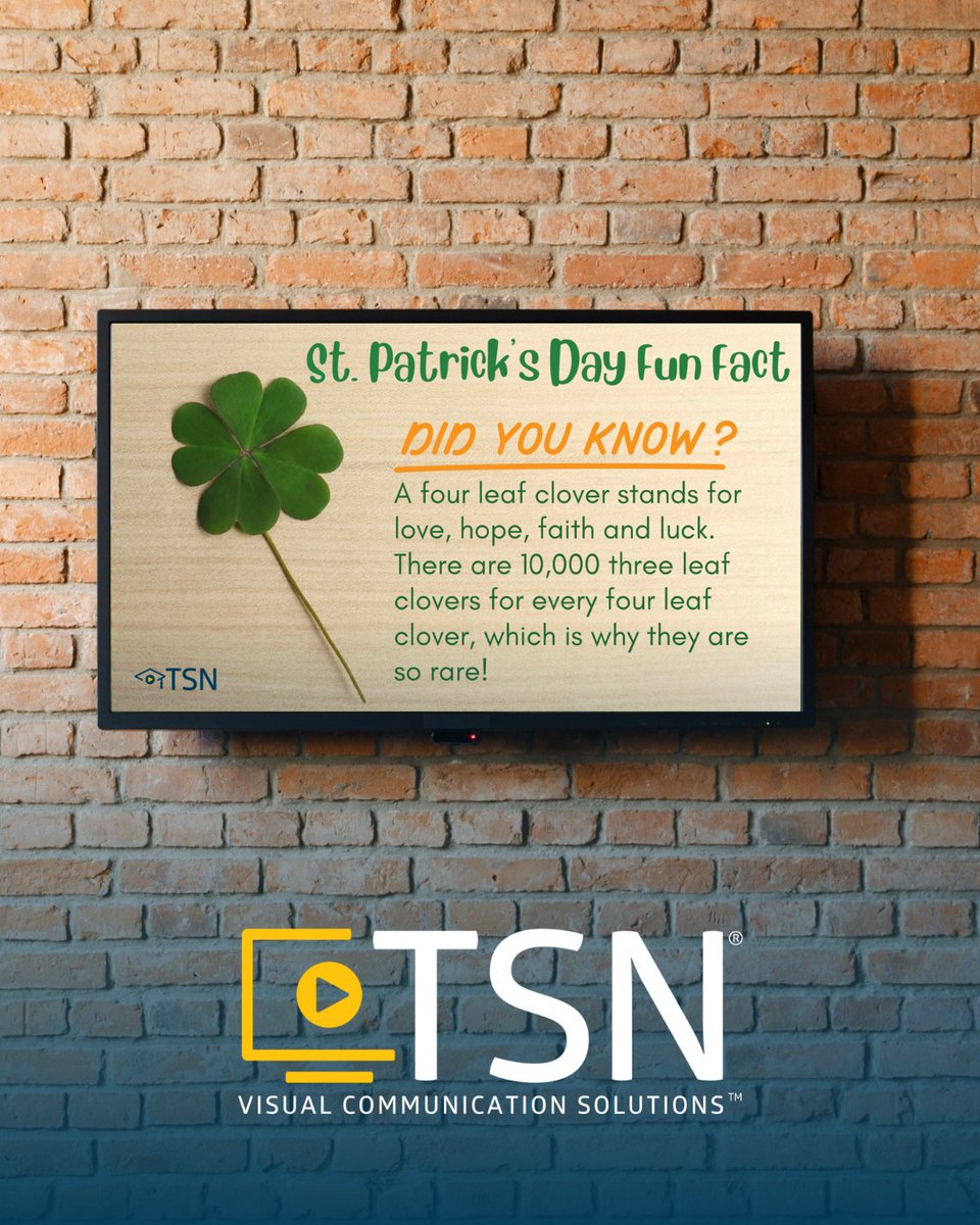 TSN for K12 Education tweet media