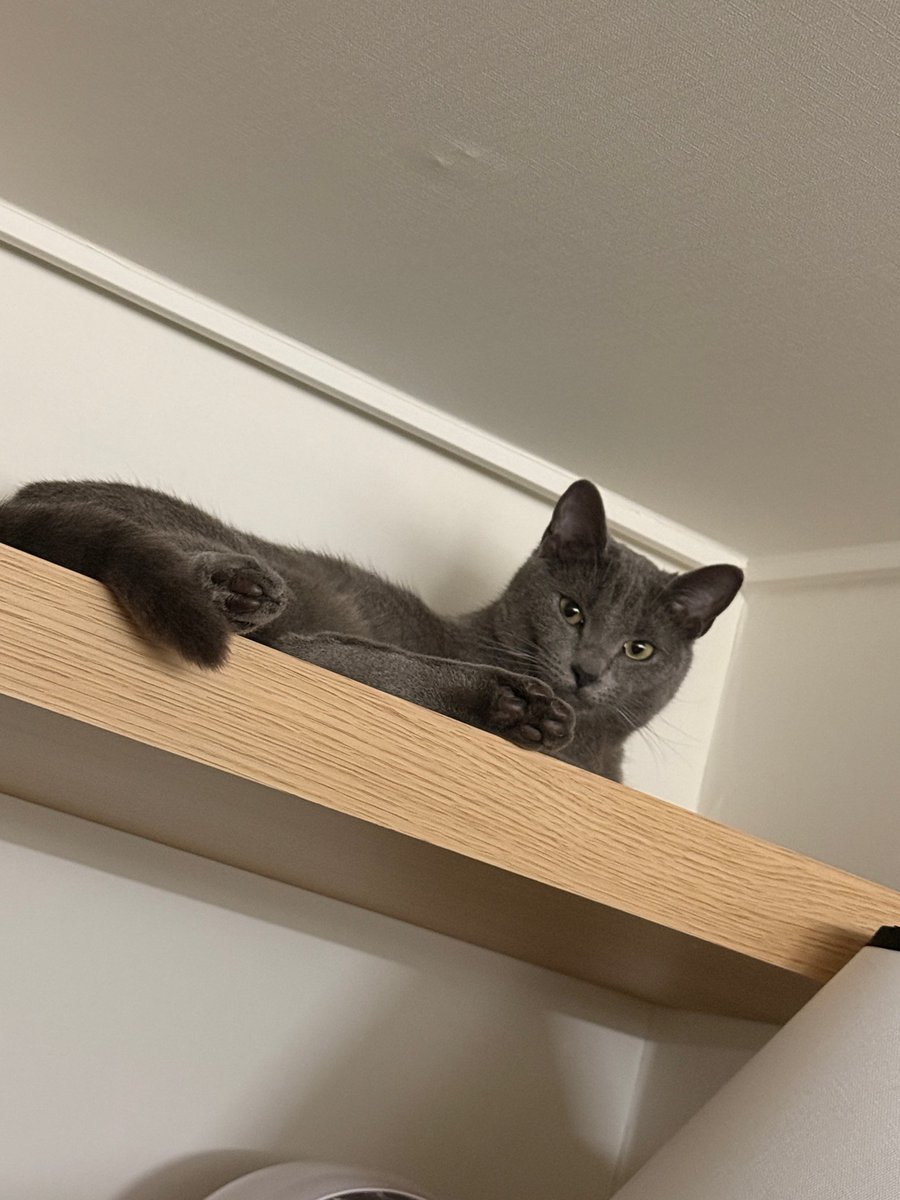 Nine France 🌼 tweet media