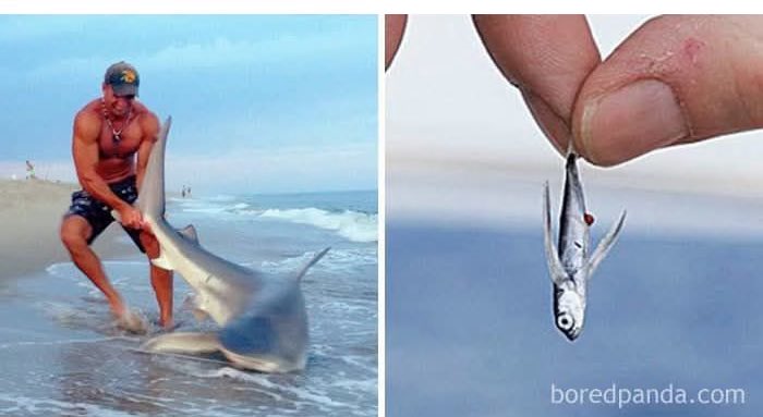 JOHN BRUBAKER tweet media