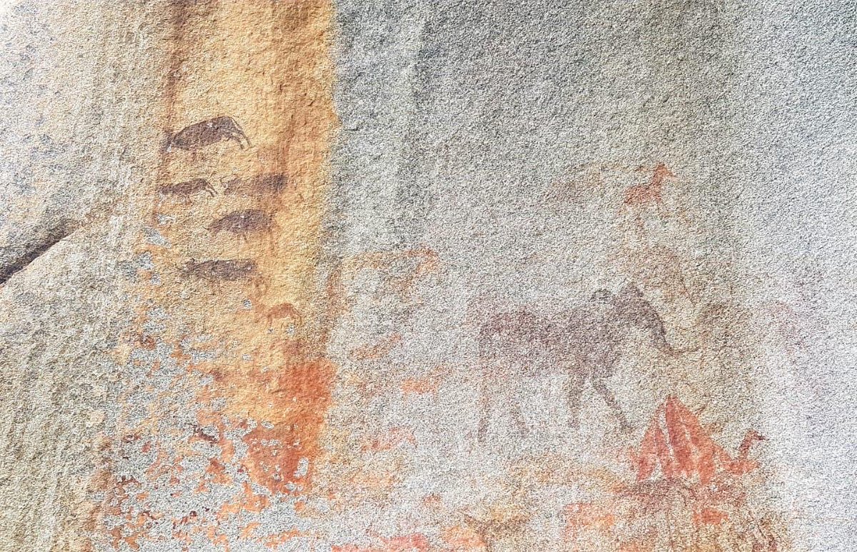 GERMANYinZIMBABWE tweet media