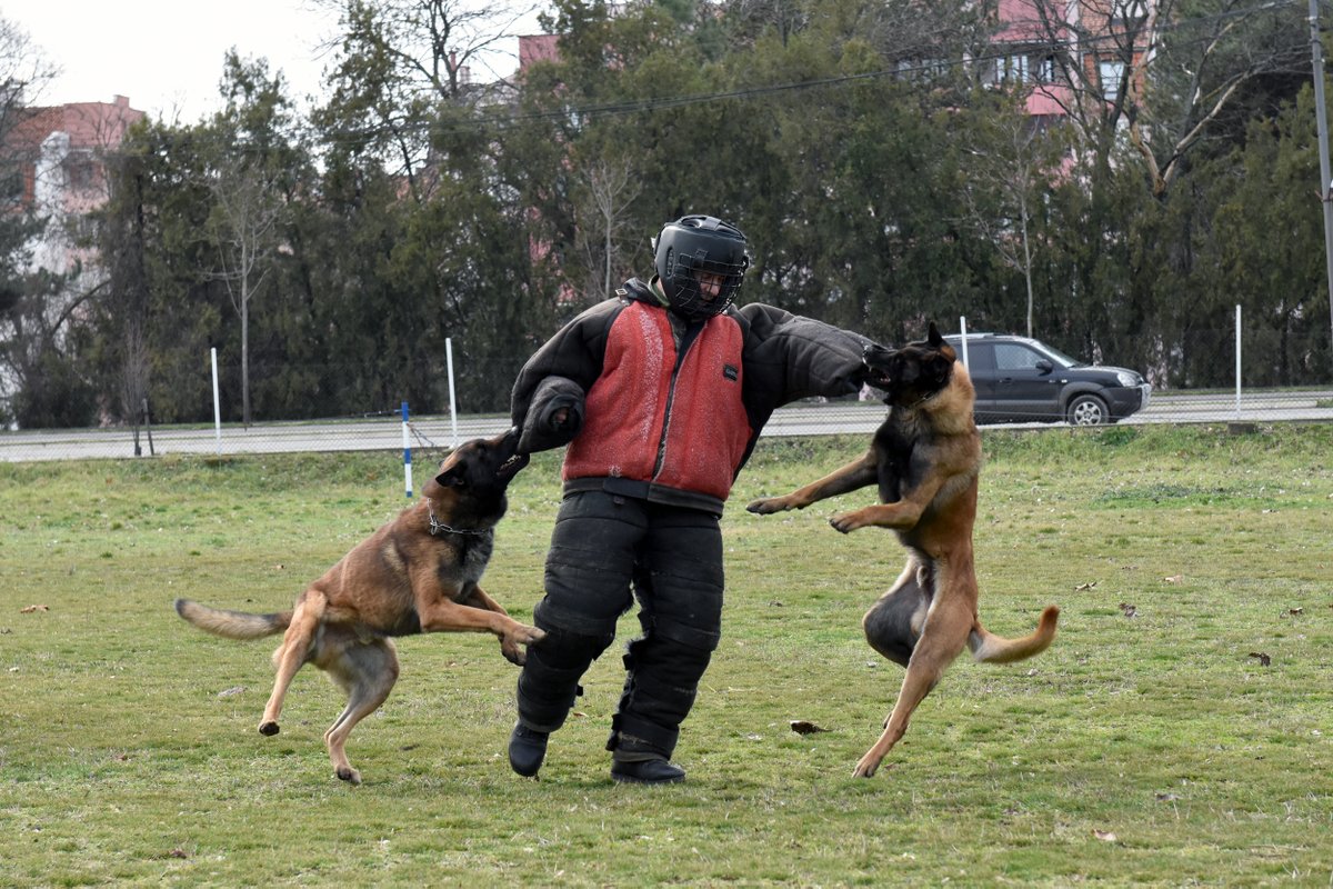 MO и ВС tweet media