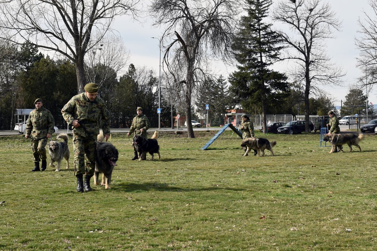 MO и ВС tweet media