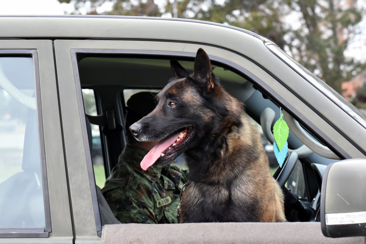 MO и ВС tweet media