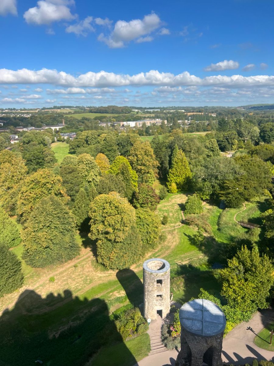 Rep. Joanna McClinton tweet media