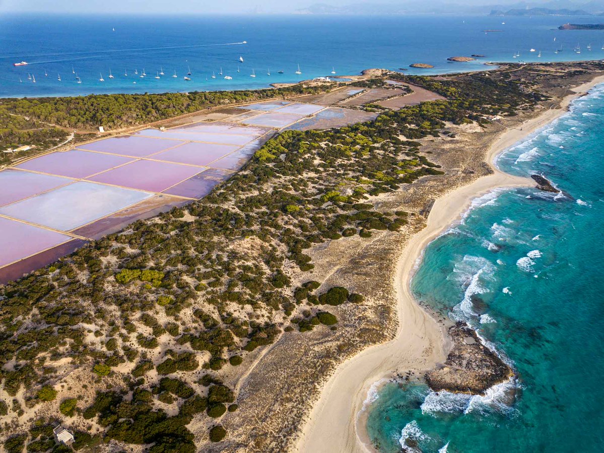 Balearia's tweet photo. 🏝️ Formentera es ese lugar donde el Mediterráneo marca el ritmo: amaneceres, 🏖️ playas infinitas, pueblos marineros y una naturaleza única. 🌱
Descubre en el nuevo blog 🌊 #EntreOlas por qué esta isla es considerada el último paraíso del Mediterráneo: https://t.co/5SsjBAqrLN https://t.co/FbxHDNaWDJ