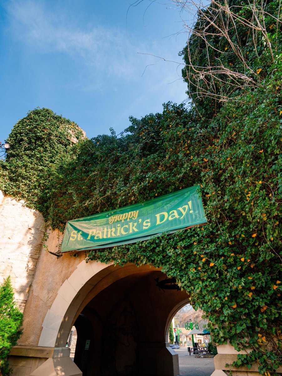 BuschGardensVA's tweet photo. Happy St. Patrick’s Day! ☘️
Come celebrate with rides, festive eats, green beer, and the return of Celtic Fyre. We’re open 3–9pm today. https://t.co/eAC3MwR38b