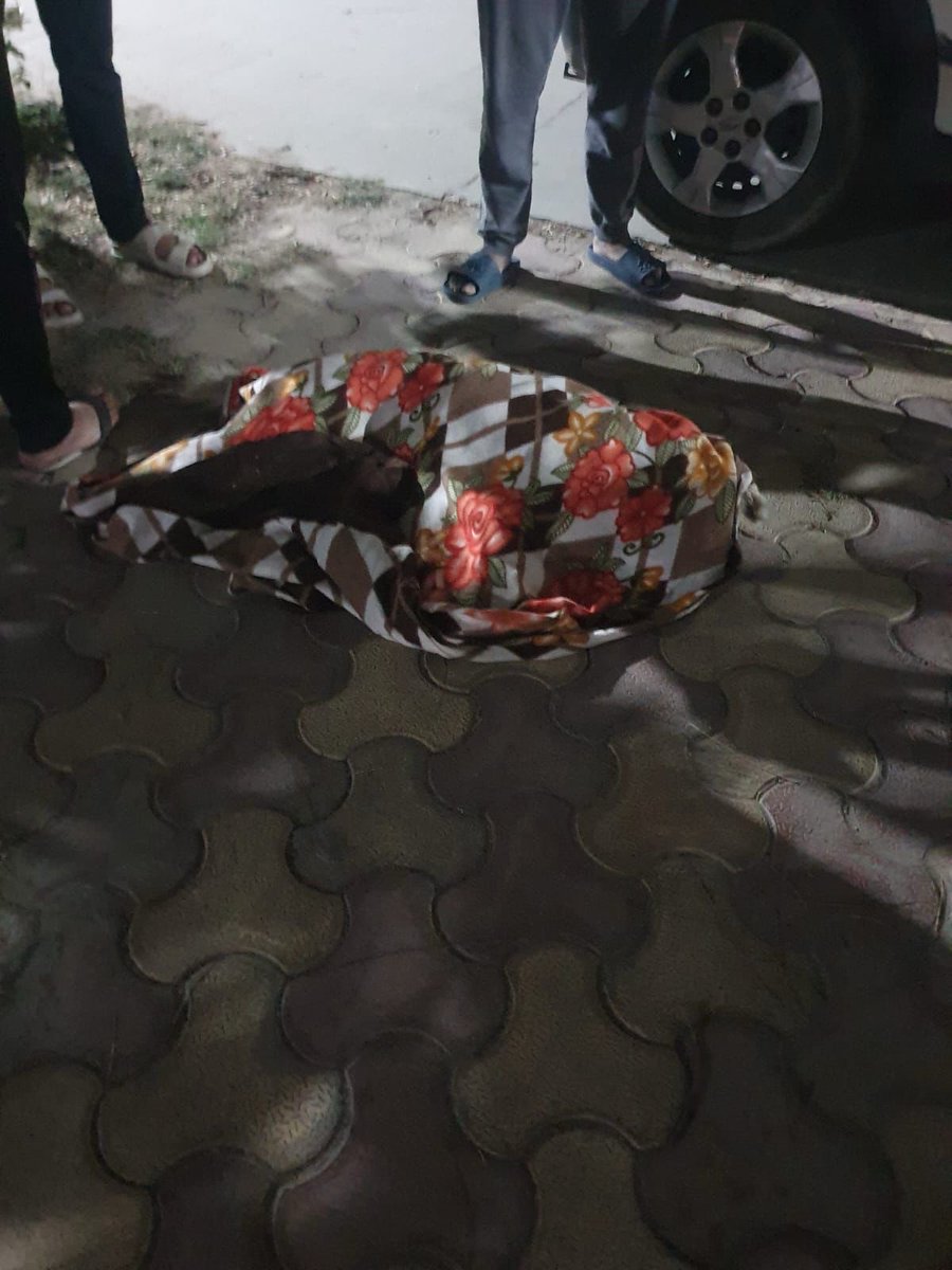 Human Being tweet media