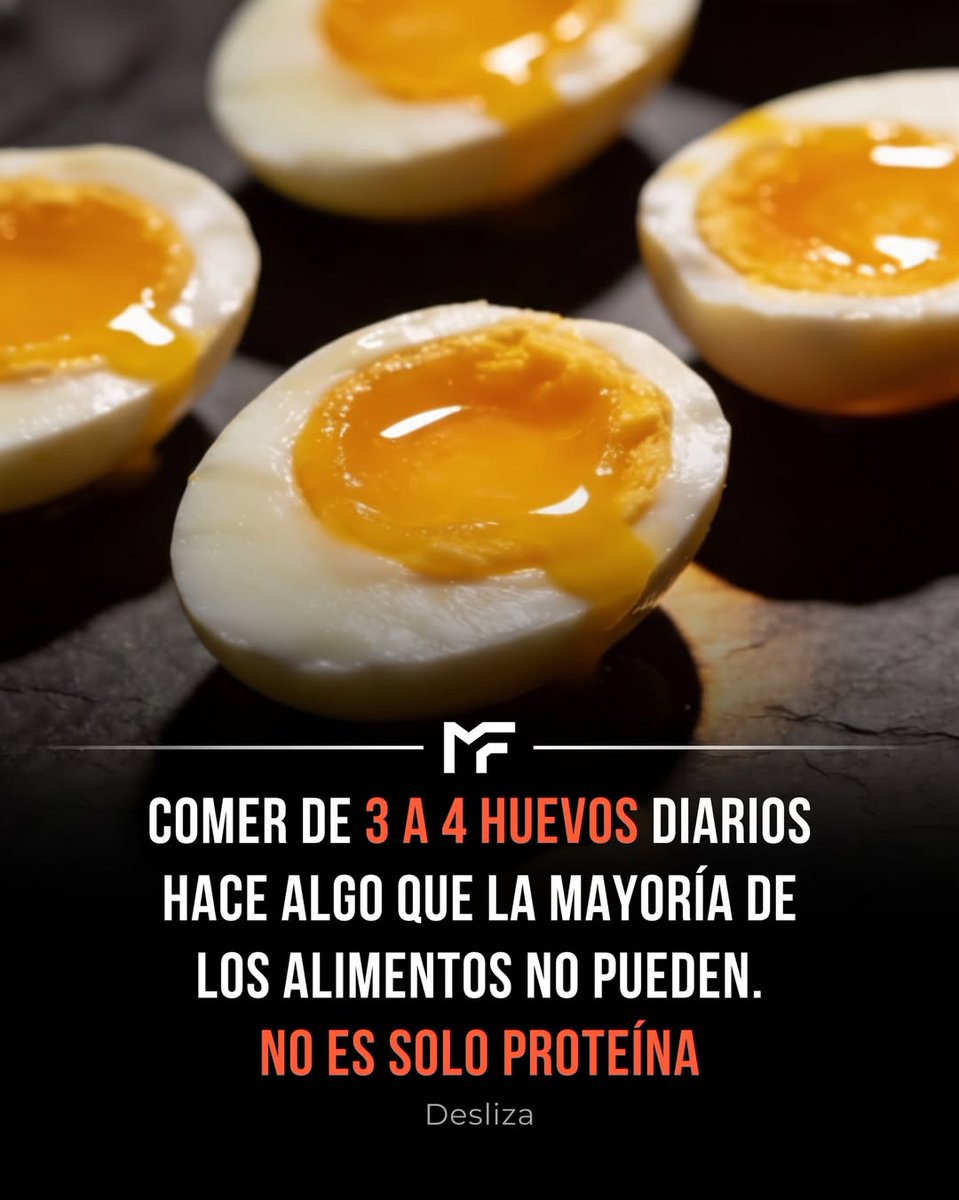 honordetigre's tweet photo. Comer de 3 a 4 huevos diarios hace algo que la mayoría de los alimentos no pueden. 

No es solo proteína...

- Hilo - https://t.co/g0ofyN0QK7