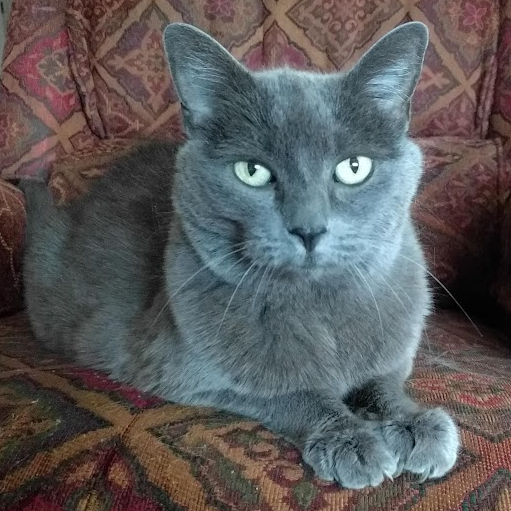 SuperKimVT 🌌 Astronomer & Vtuber 🌌 tweet media