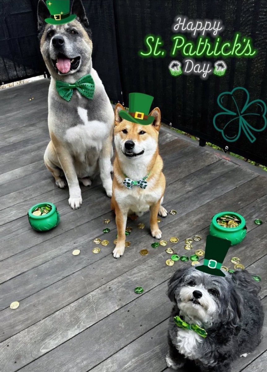 Elon Musk (@elonmusk) on Twitter photo 