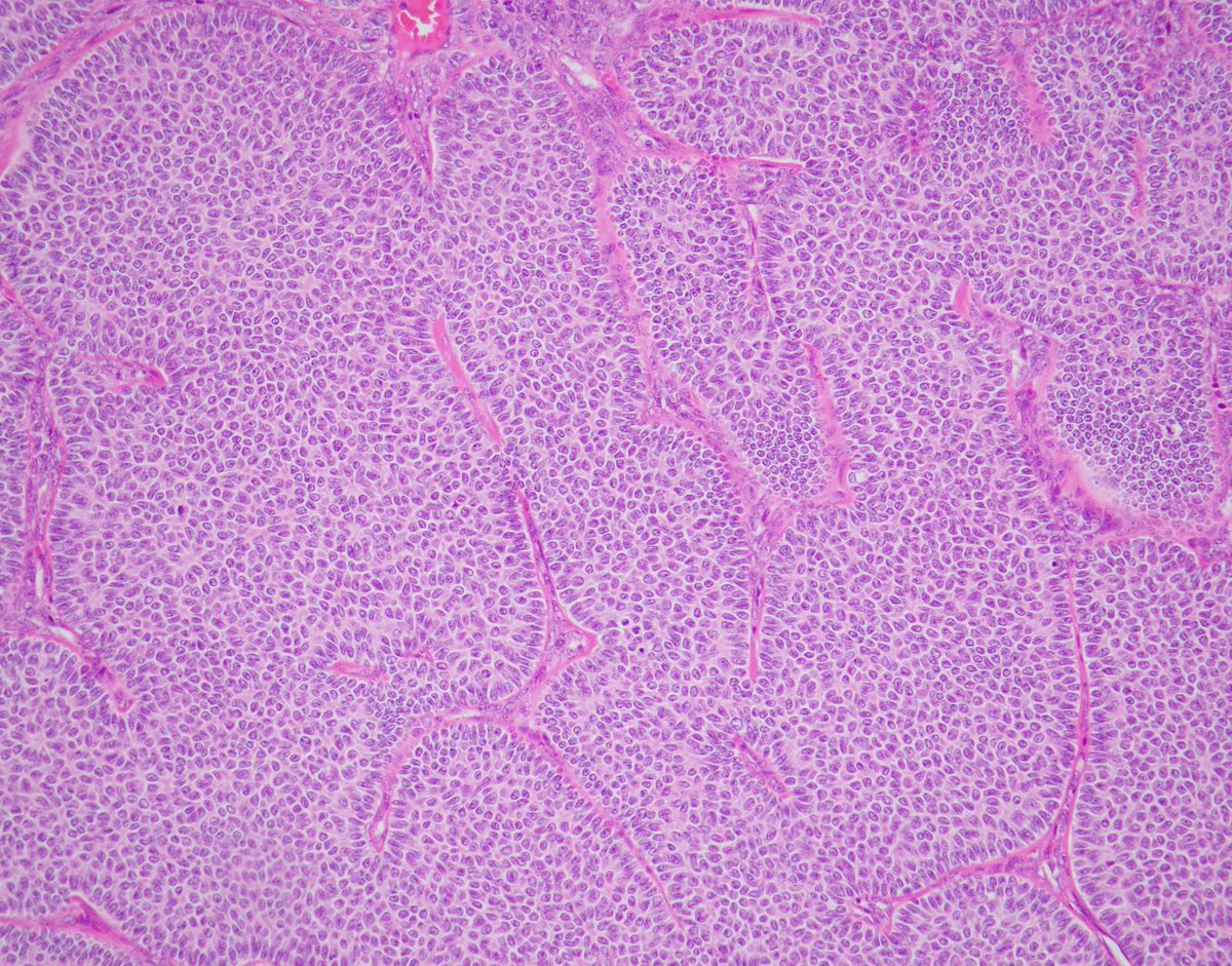 Charlie Herndon tweet media