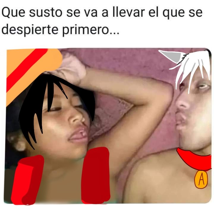 Nick fress tweet media