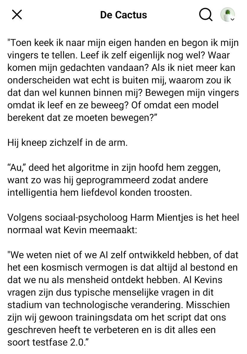 De Cactus 🌵 tweet media