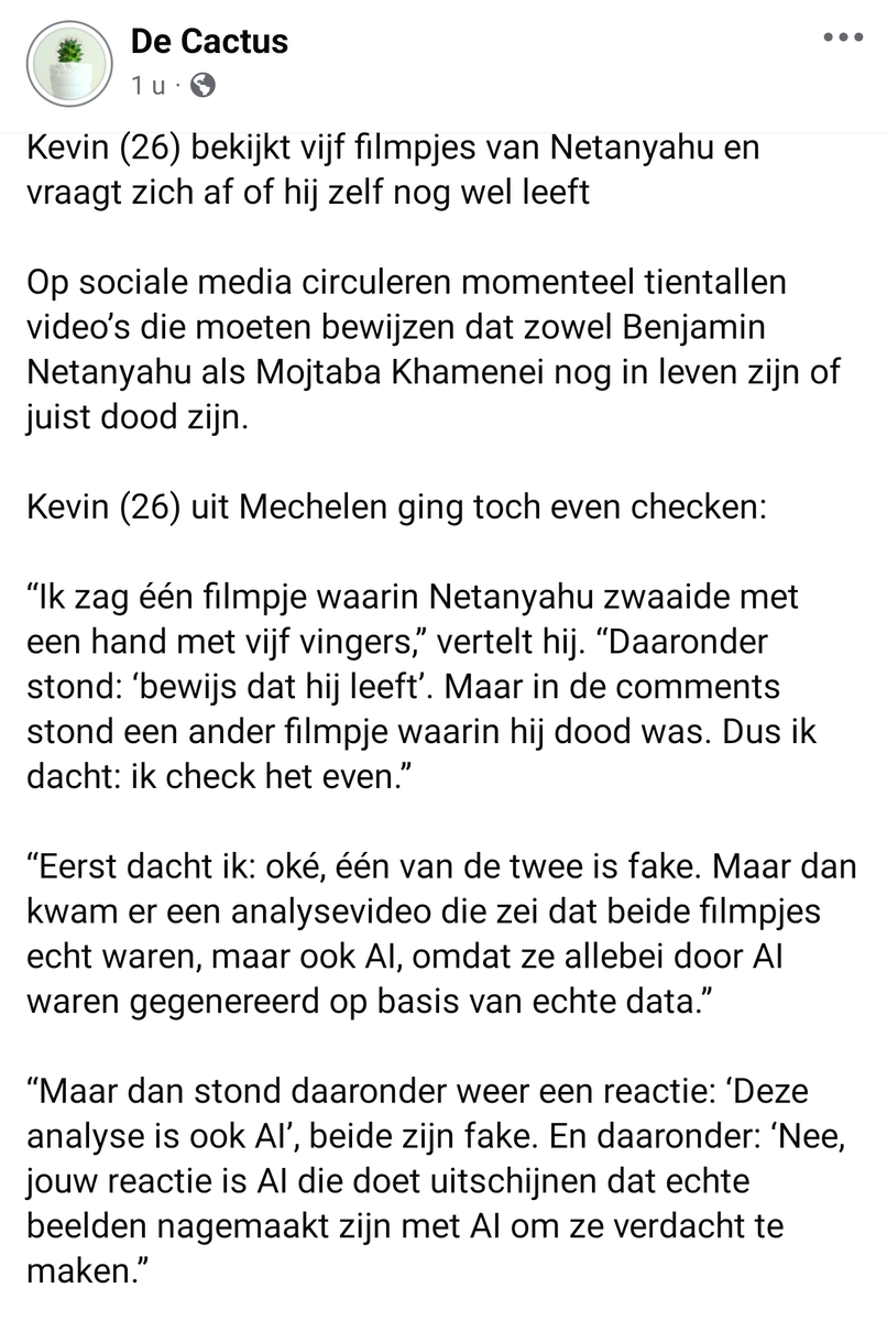 De Cactus 🌵 tweet media