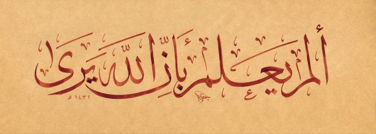 ^Reader Bird^ tweet media