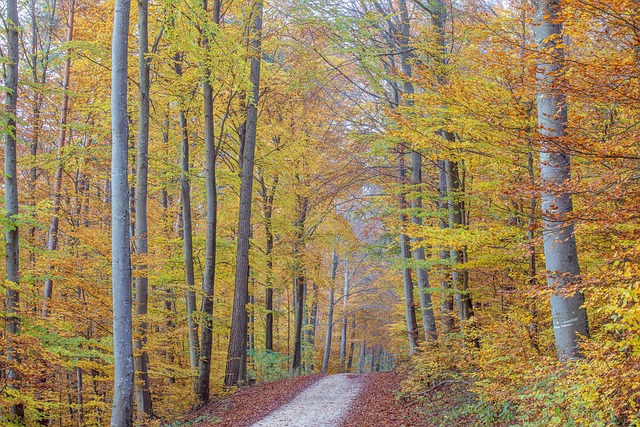 Jing Martin tweet media