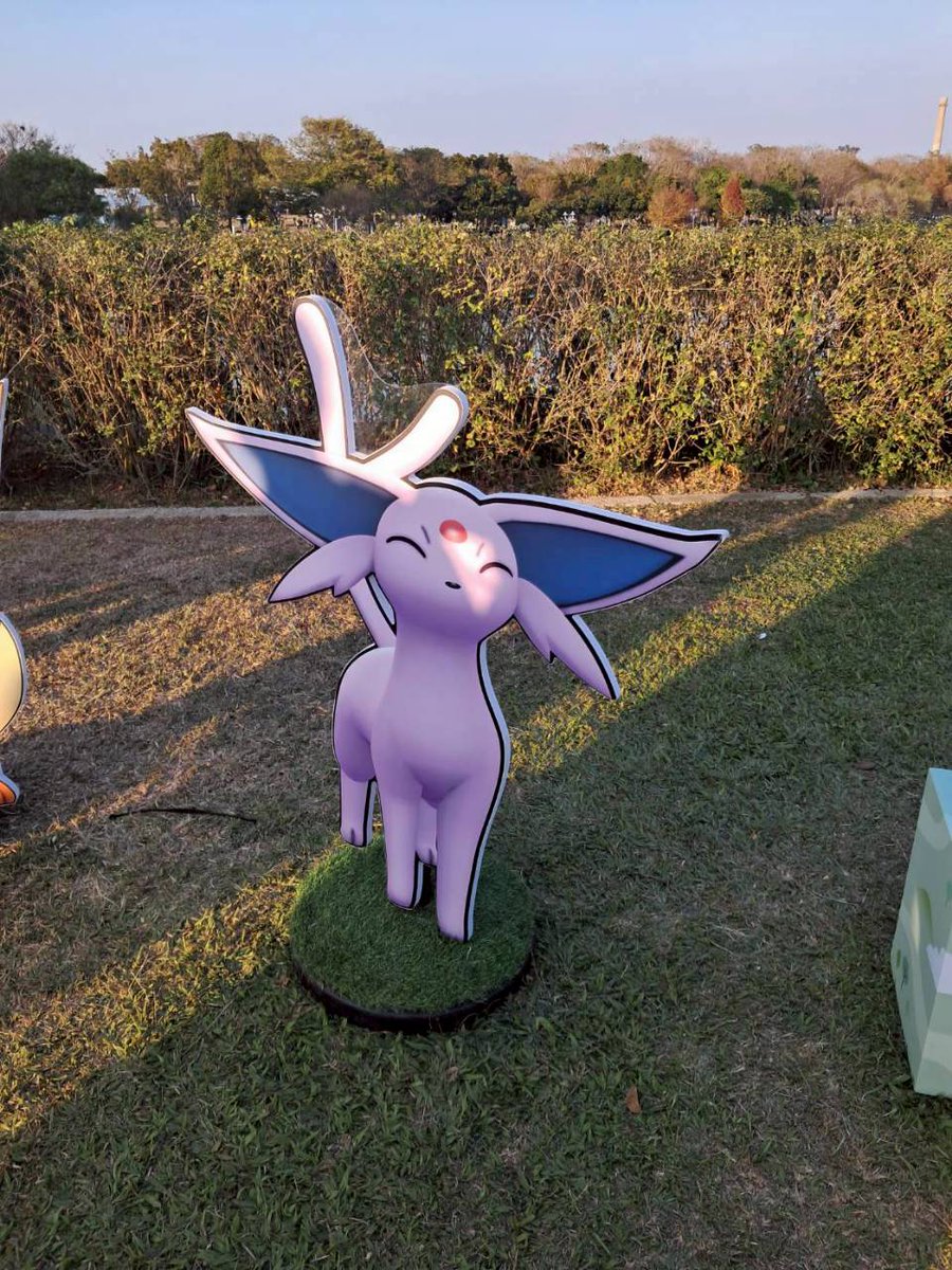 DAI RT垢 tweet media