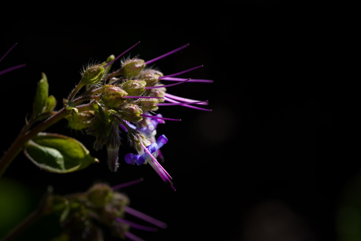 Gordon England tweet media