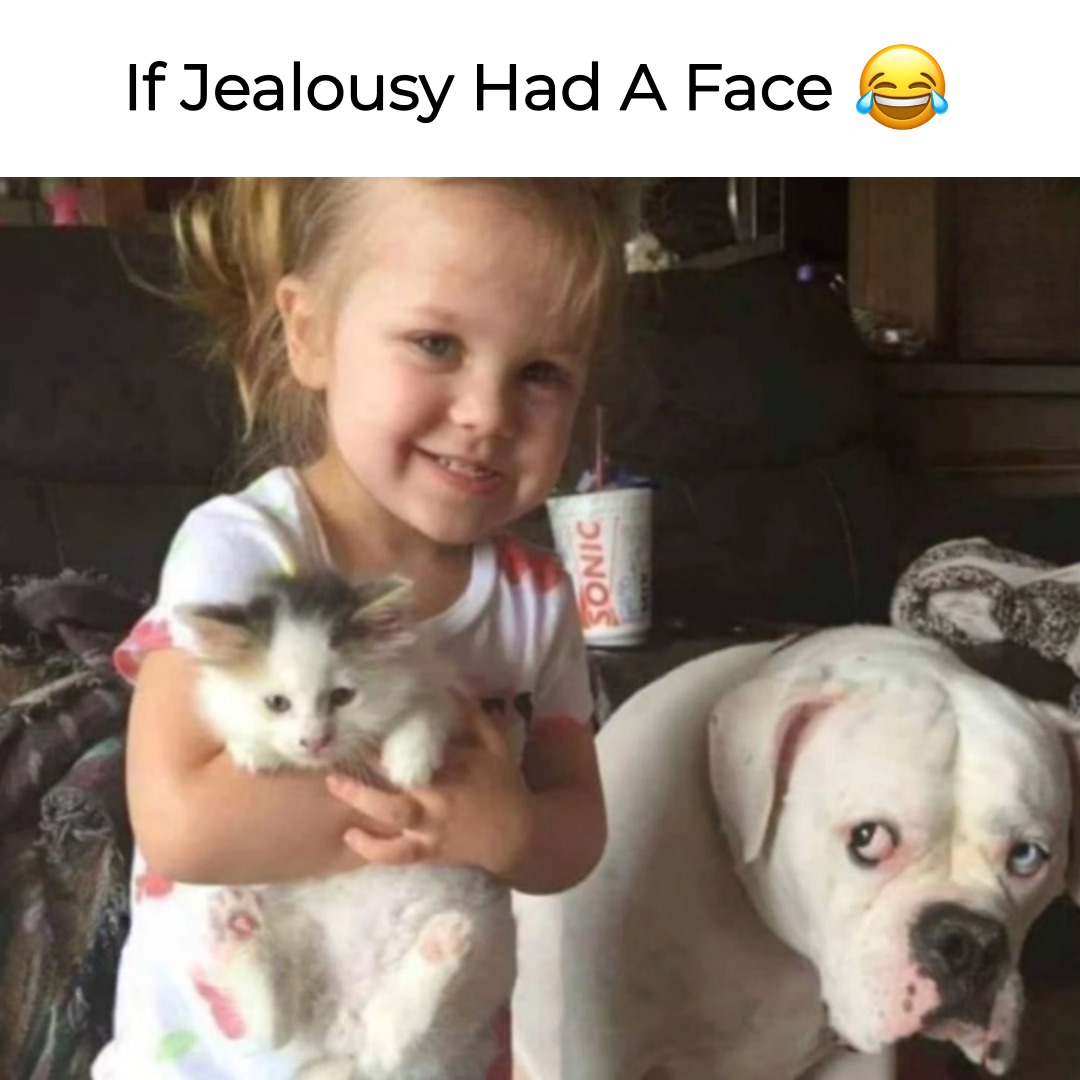 ~SSassyy🌷ॐ tweet media