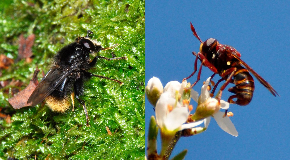 NatureBureau tweet media