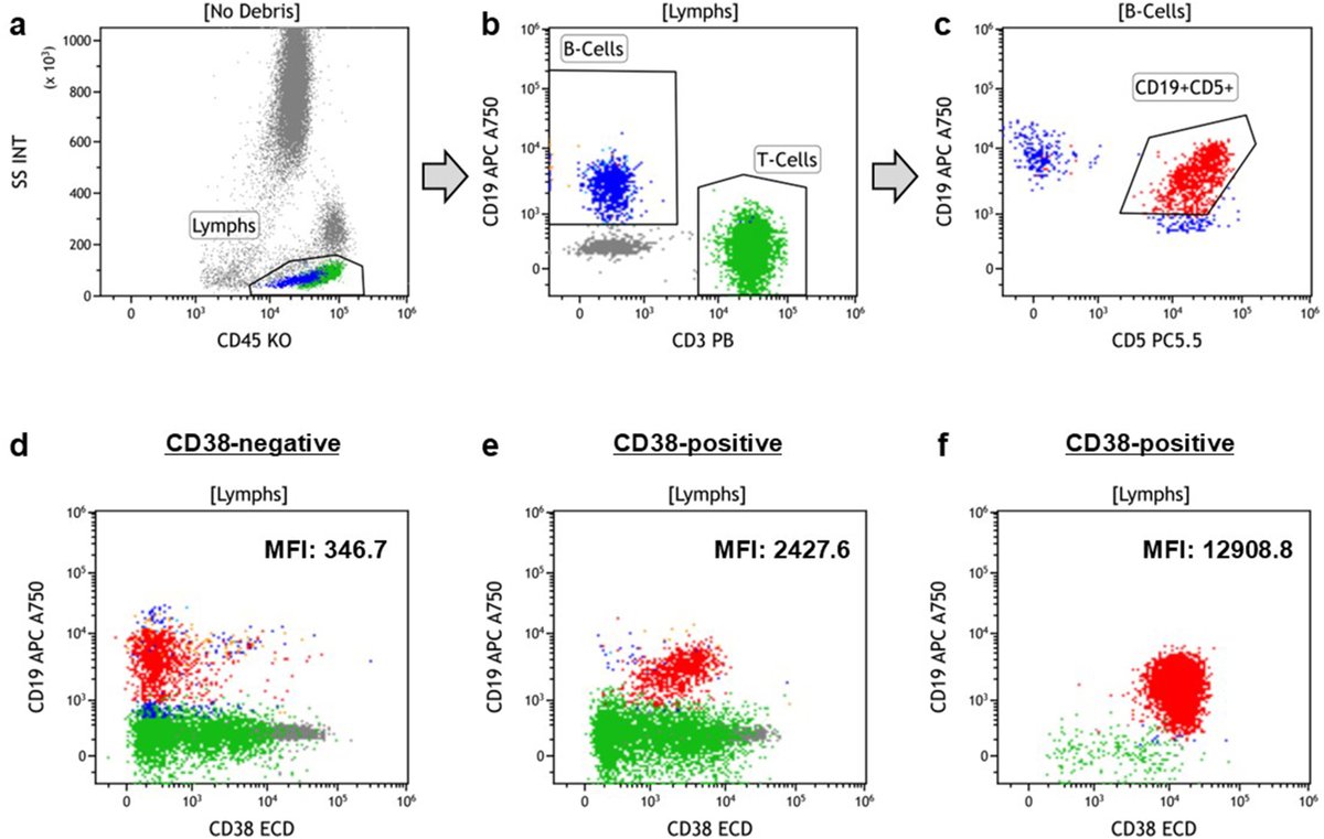 Human Pathology tweet media