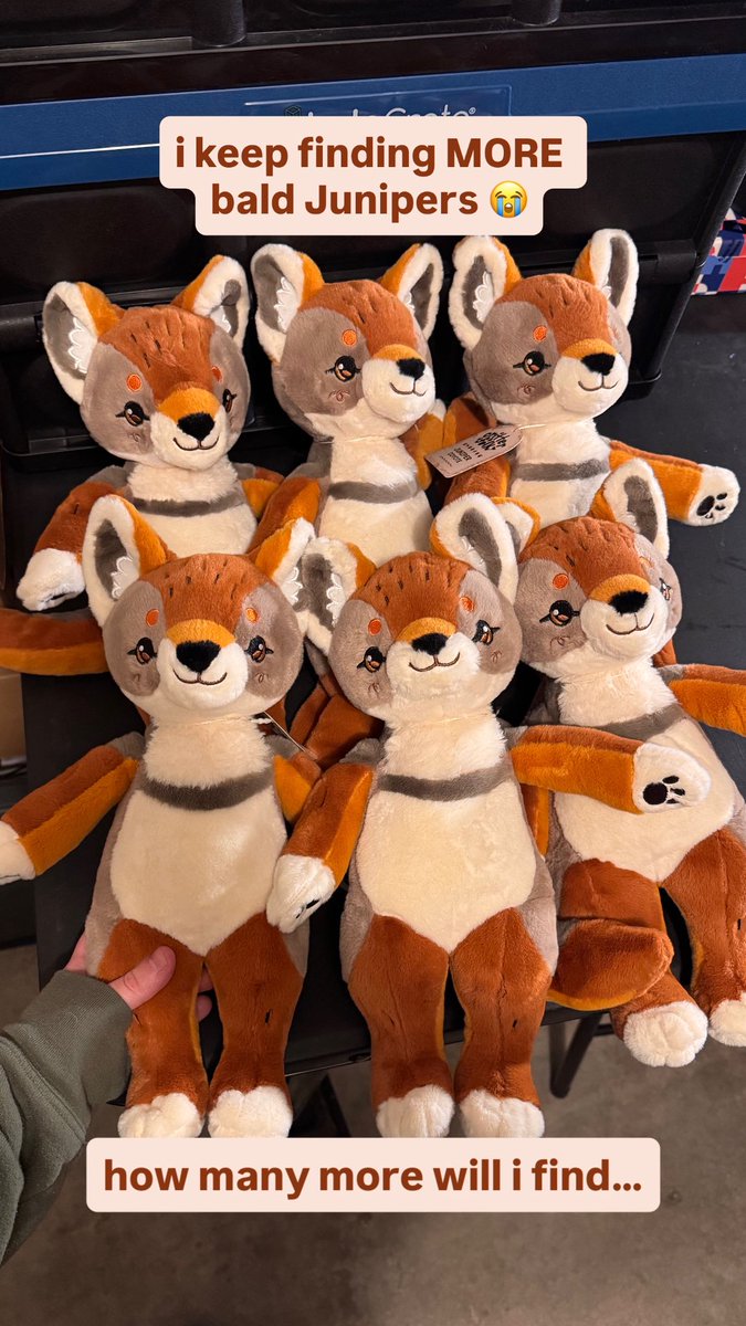 Marlow 🏔️🐾 Critterfolk 🦊🌱 tweet media