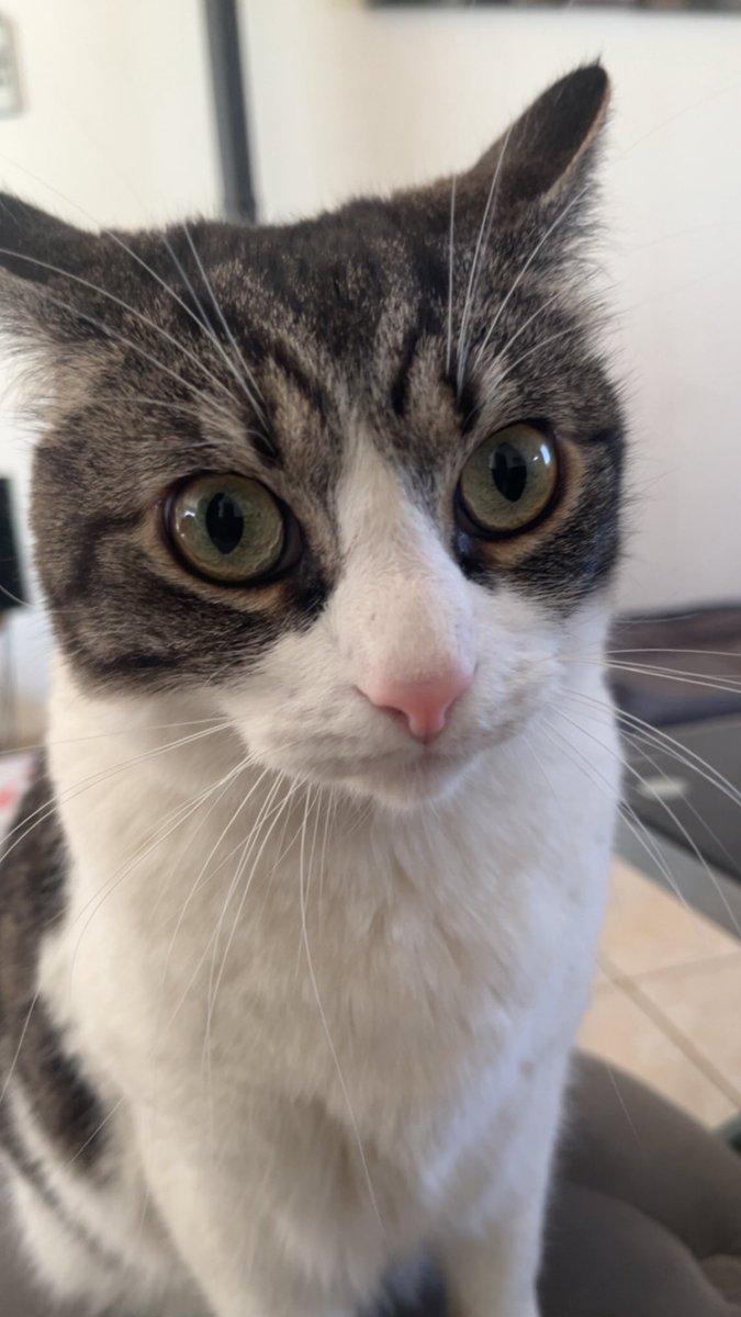 ixtab⋆ﾟ tweet media