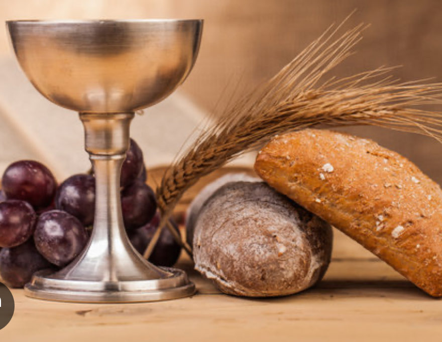 St. Thérèse of Lisieux Catholic Primary School tweet media