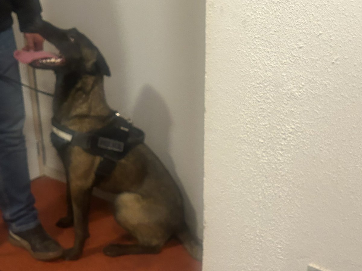 Préfet de l'Orne 🇫🇷 tweet media